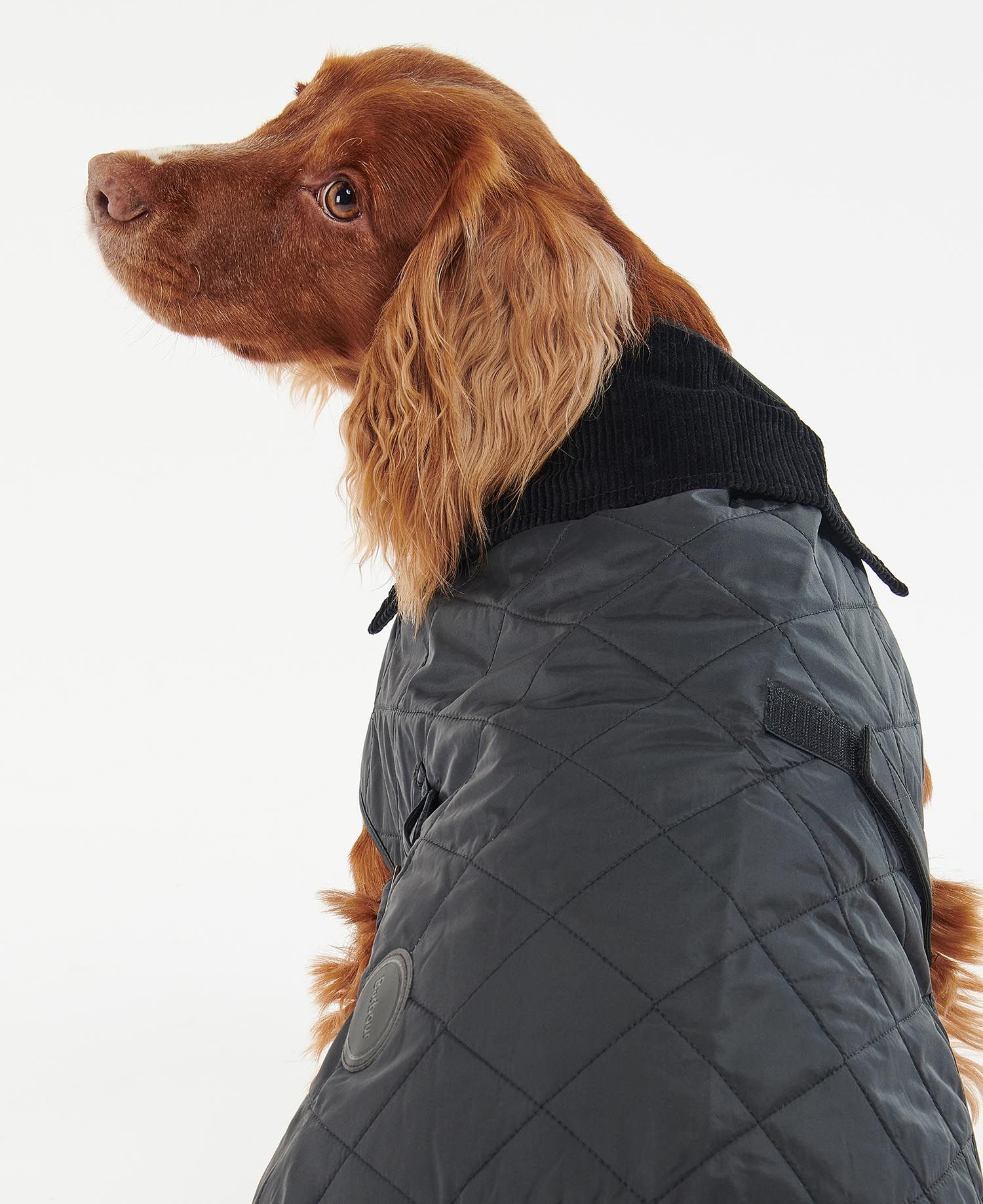 Barbour Quilted Dog Coat Black – BARKERS+BROTHERS