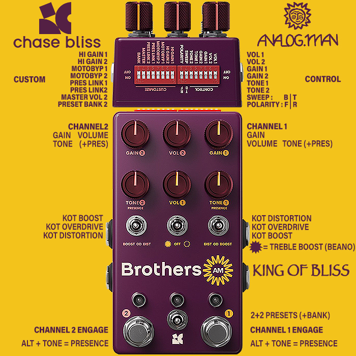 Chase Bliss Brothers AM, Faves 専用MIDIセット Chase Bliss Brothers