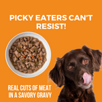 Big Easy Feast Slow Cooked Stew Dog Food | KOHA Pet