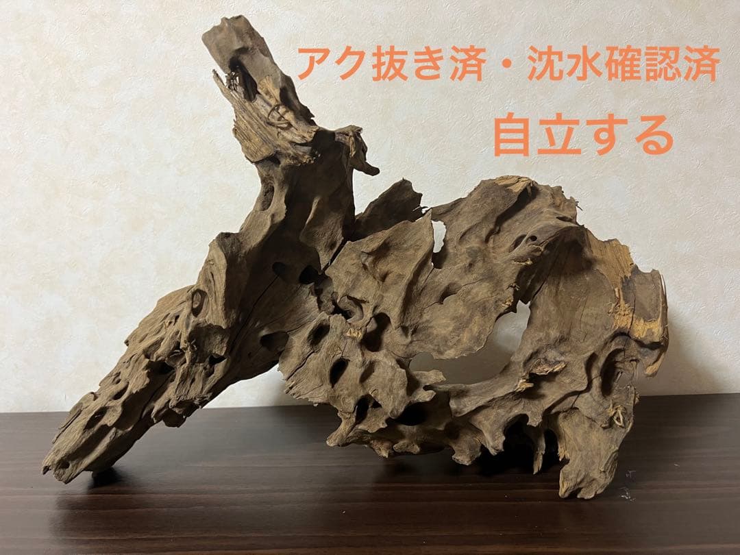 XM-198 流木　マシンガンウッド　アクアリウム　ブランチウッド　沈水確認済 XM-198 流木 マシンガンウッド アクアリウム ブランチウッド 沈水確認済